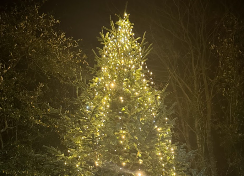 The Foyle Hospice Christmas tree lit up with warm lights in the Hospice grounds at night.